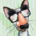 Groucho the Cat