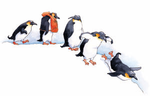 Follow the Leader