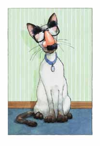 "Groucho Cat"