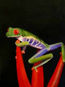 Rainforest Frog